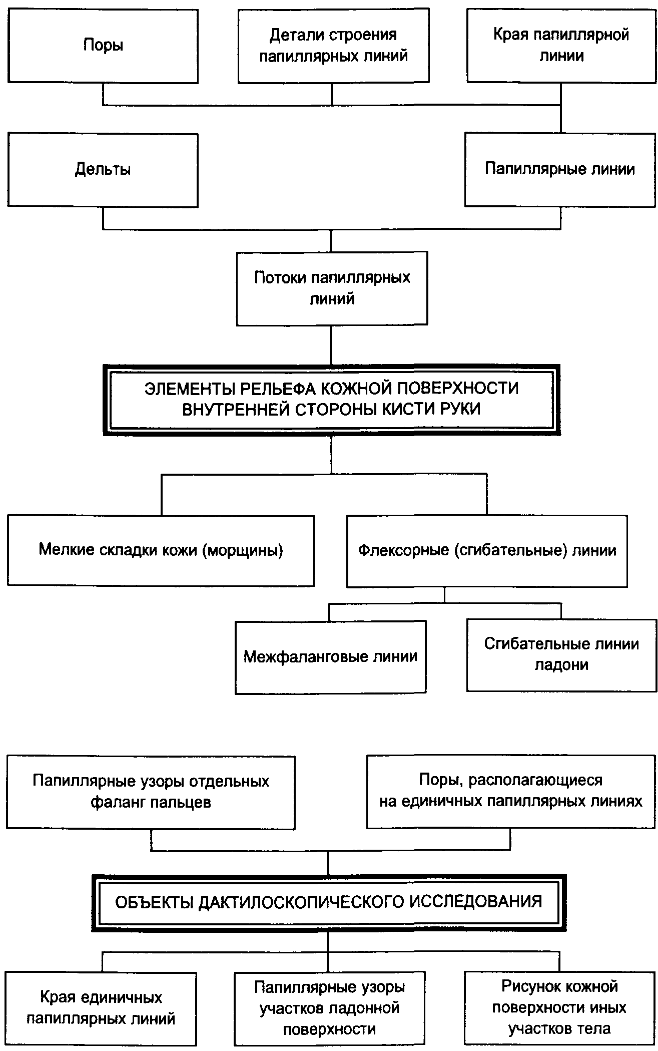 Система трасологии схема