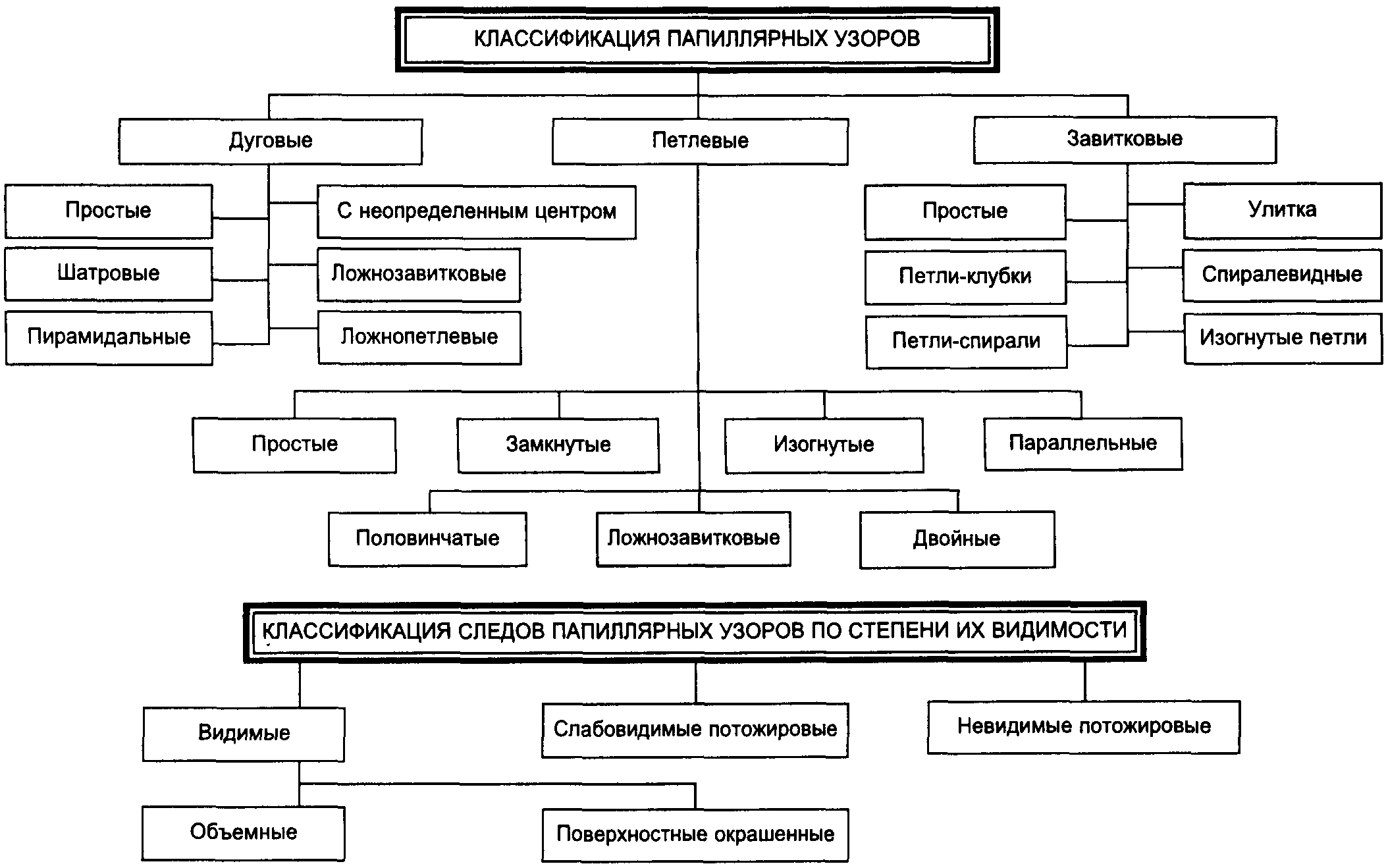 Классификация материальных следов в трасологии схема