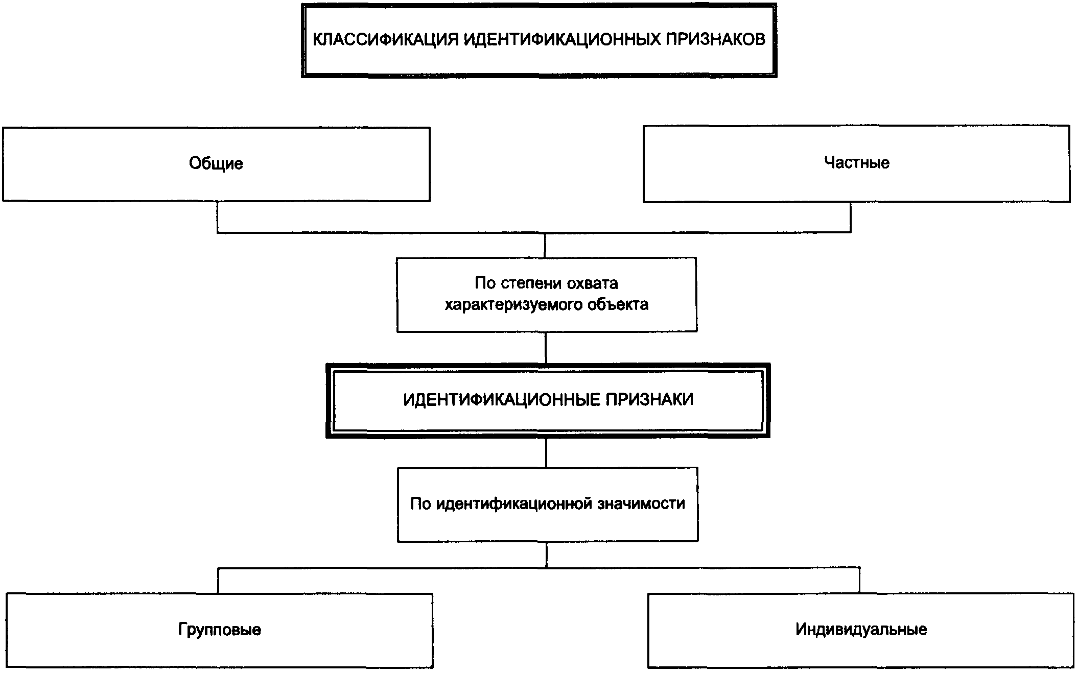 Криминалистика виды идентификации схема