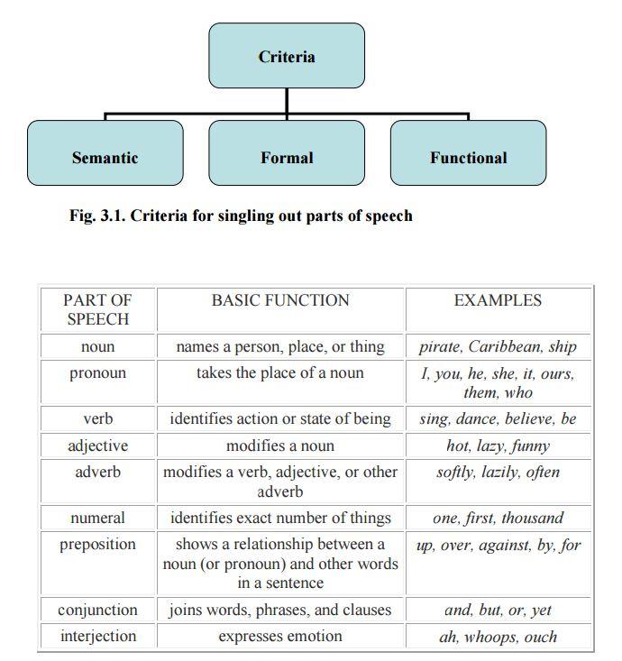 Verbs function