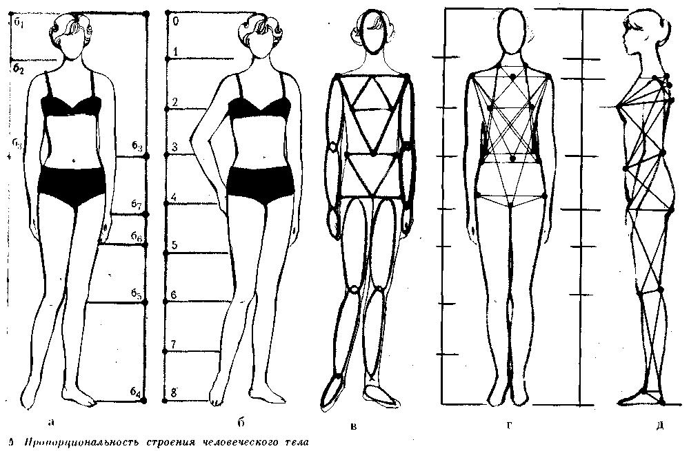 8 частей человека. Построение фигуры женщины. Женская фигура для рисования. Женская фигура рисунок пропорции. Пропорции человека схема.