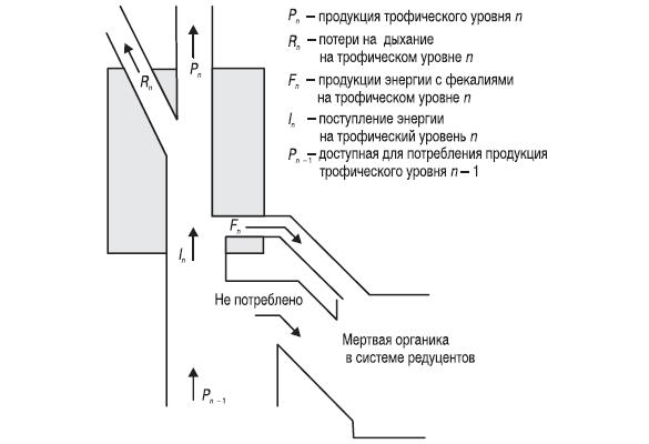 Схема потока энергии