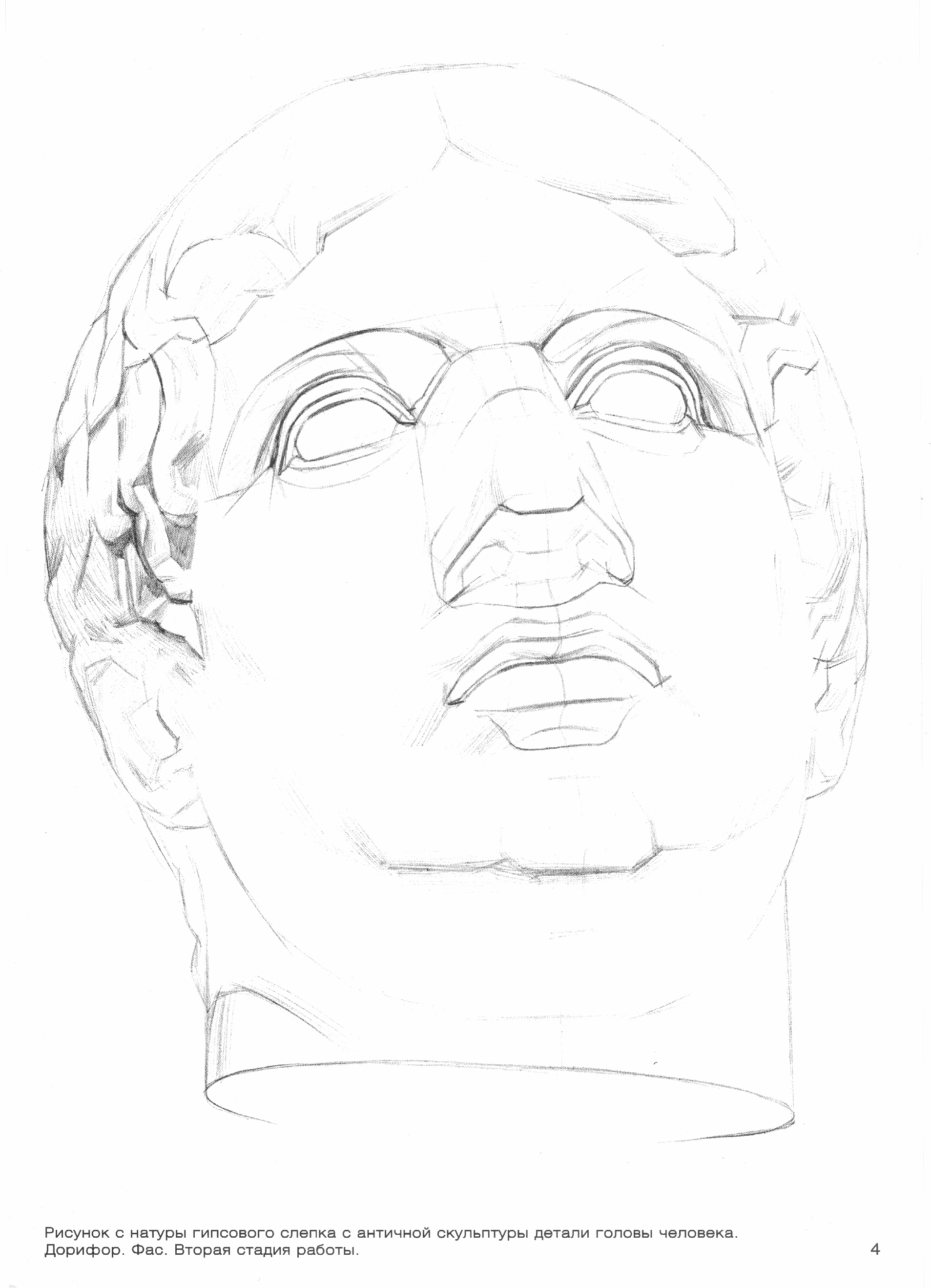 Дорифор голова Академический рисунок