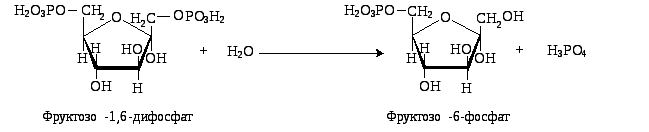 Фруктозо 6 дифосфат. Фруктозо 1 6 дифосфат формула. Фруктозо 1 6 бисфосфат формула. Фруктозо-6-фосфат фруктозо-1.6-дифосфат. Фруктозо 6 фосфат формула.