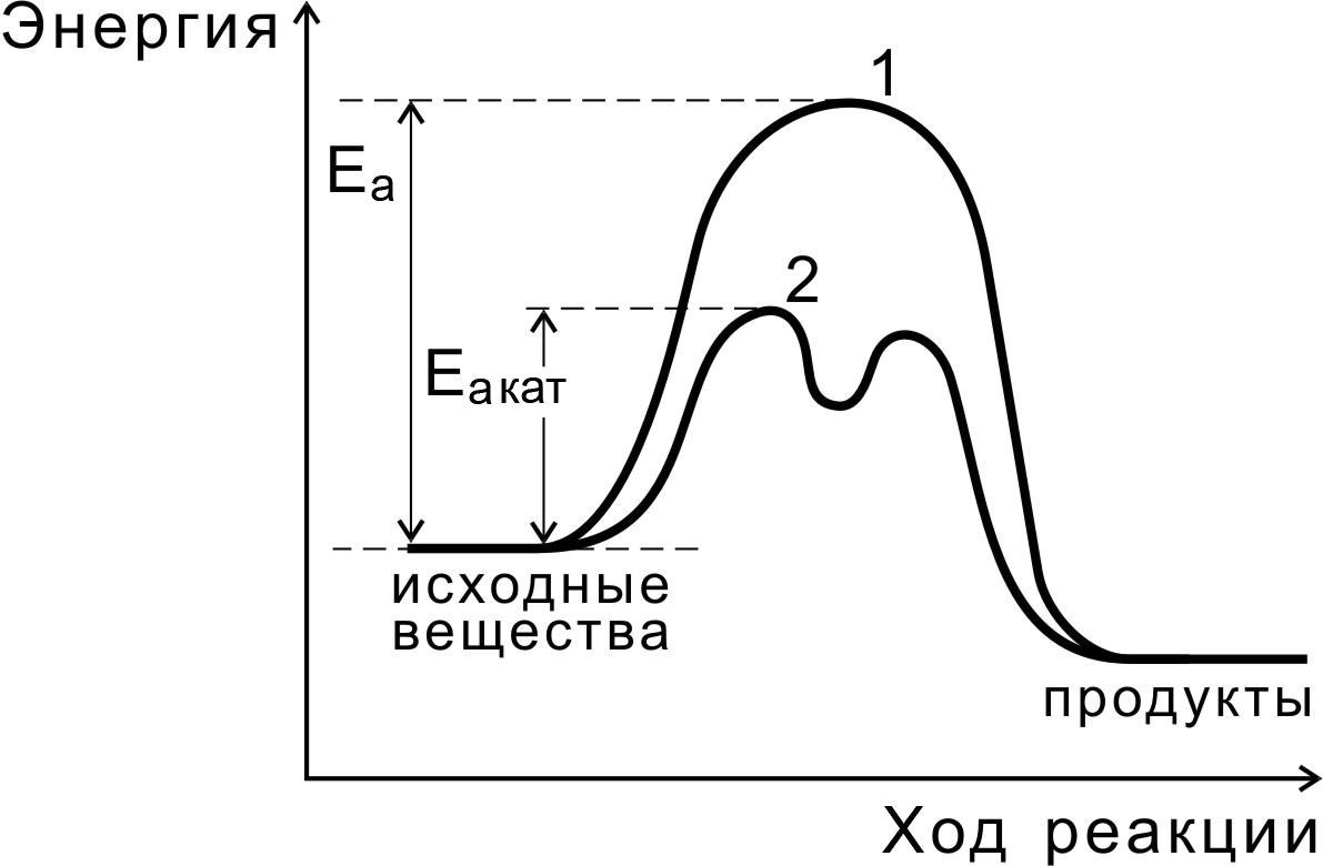 Энергетическая диаграмма гетерогенного катализа