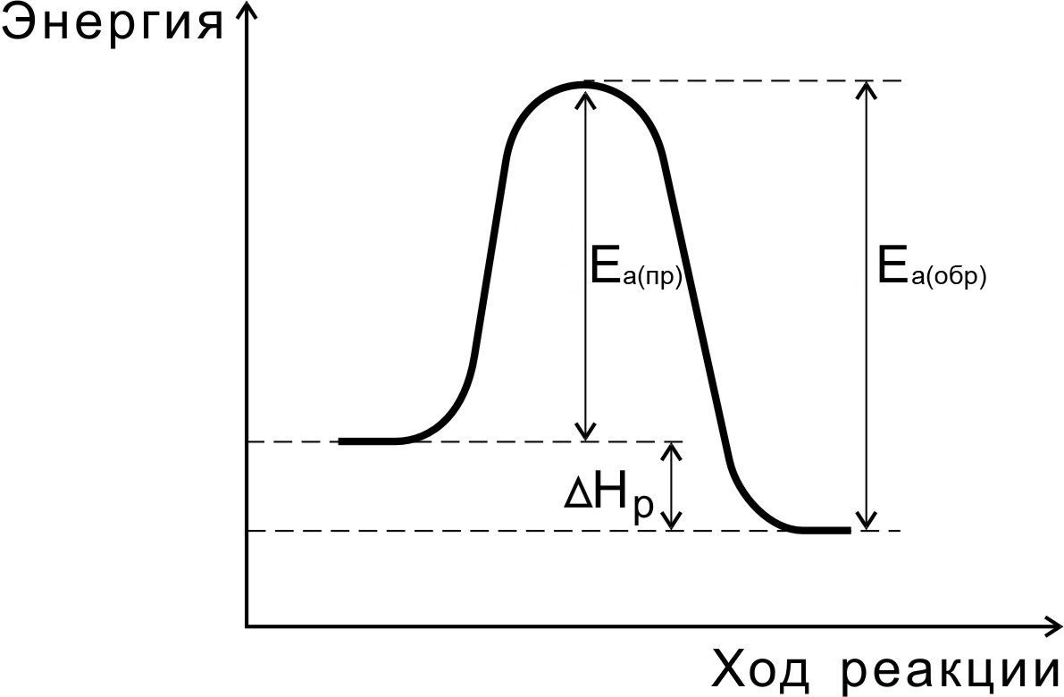 Энергия активации эндотермической реакции. Энергия активации экзотермической реакции. График энергии активации эндотермической реакции. Диаграмма энергии активации.