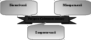Группа 1146