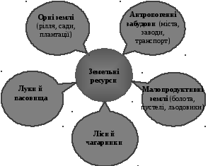 Группа 62