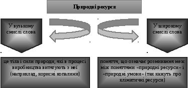 Группа 24