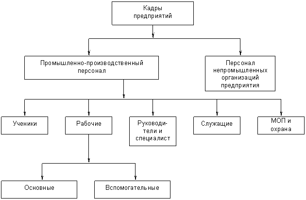 Структура персонала предприятия схема. Кадровый состав предприятия схема. Схема состава кадров предприятия. Структурная схема персонала.