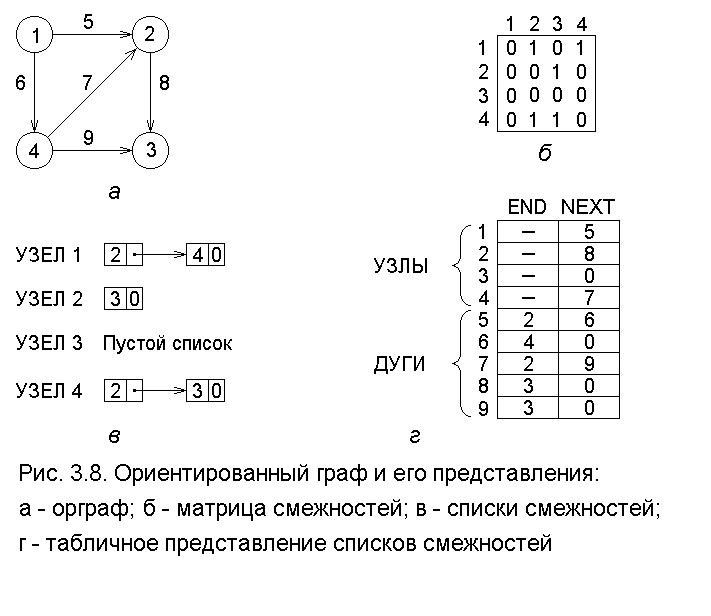 Смежность в ориентированном графе