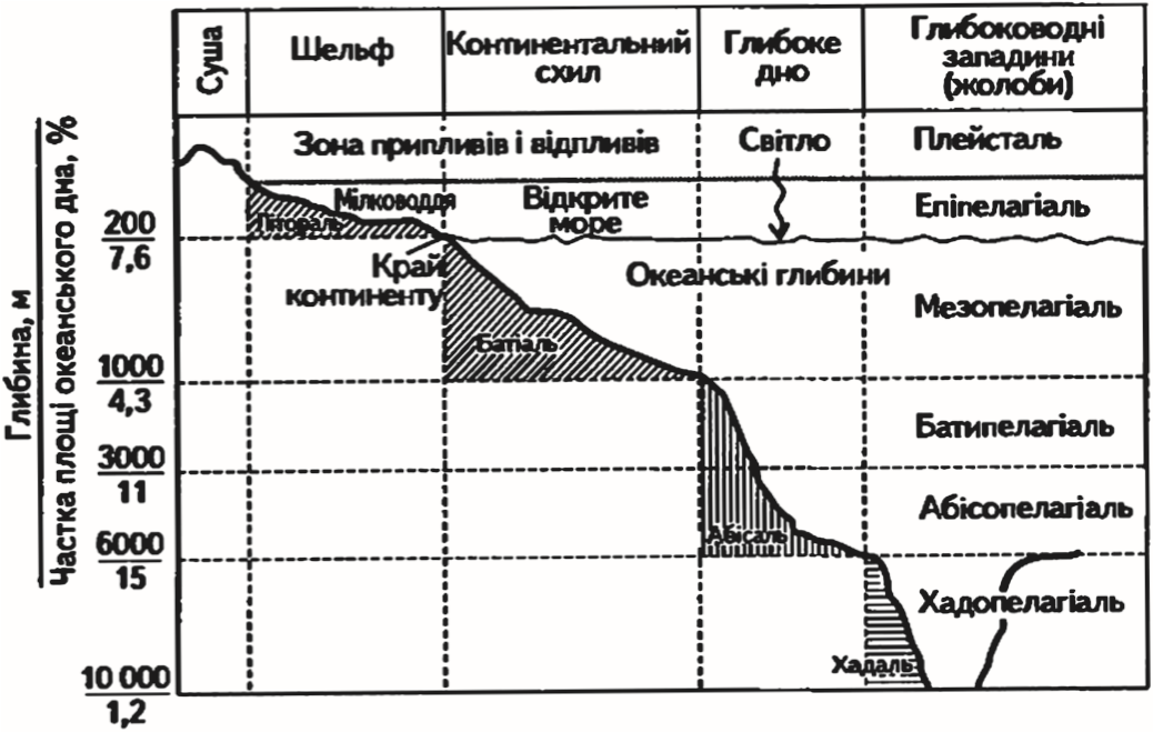 Бенталь