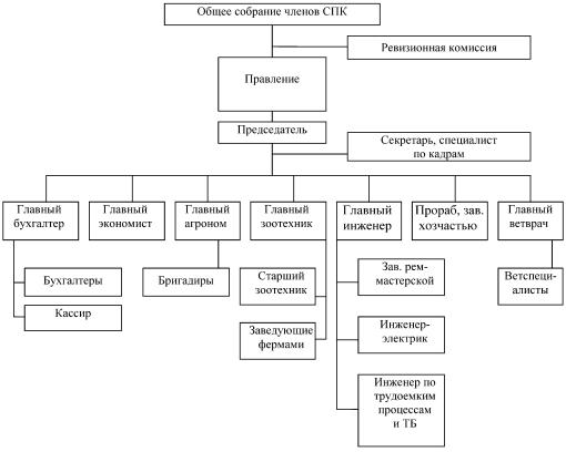 Спк примеры. Организационная структура управления СПК. Схема организационной структуры хозяйства СПК. Организационная структура колхоза схема. Управленческая структура СПК.