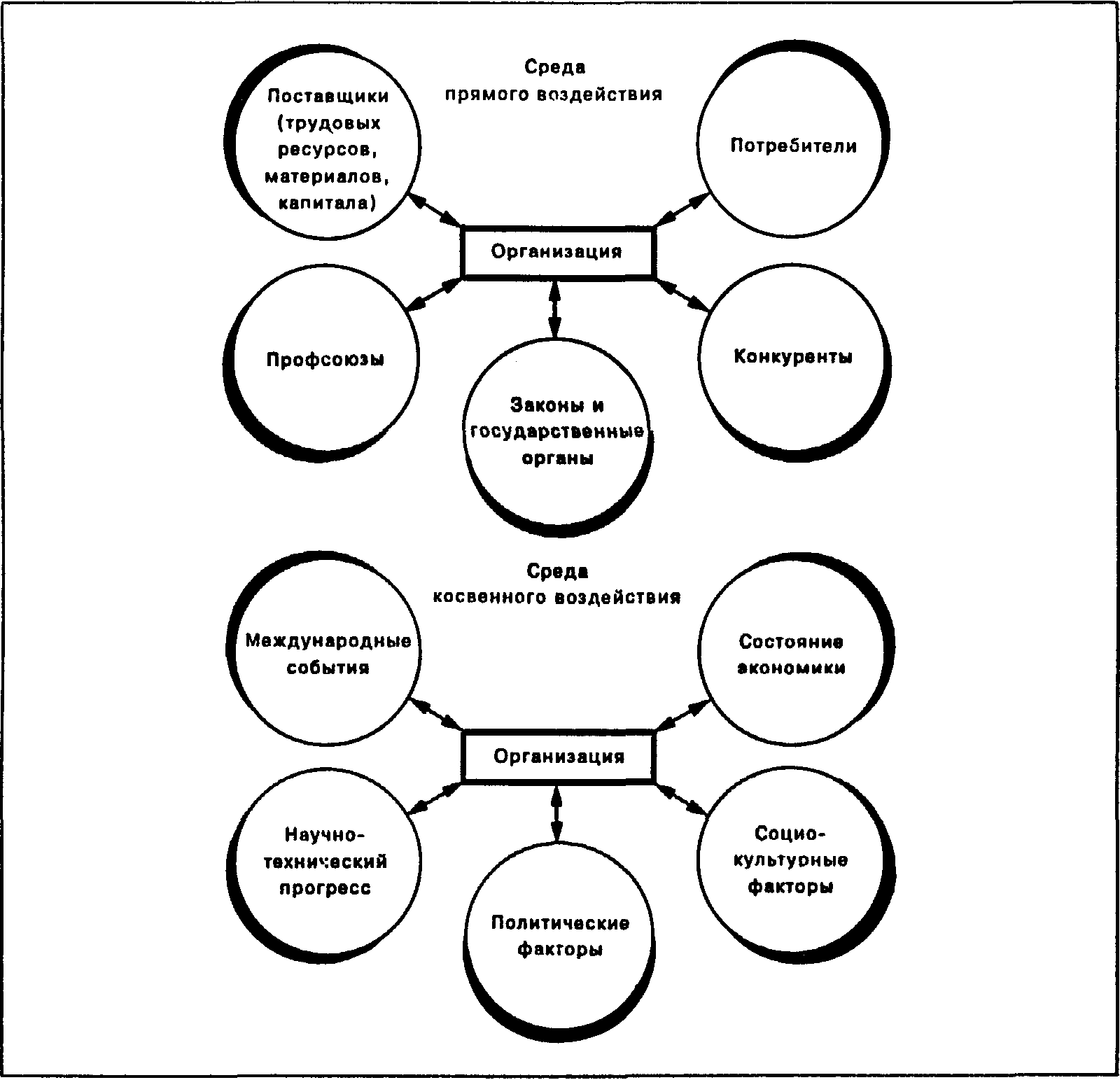 Тема 5. Внешние переменные организации