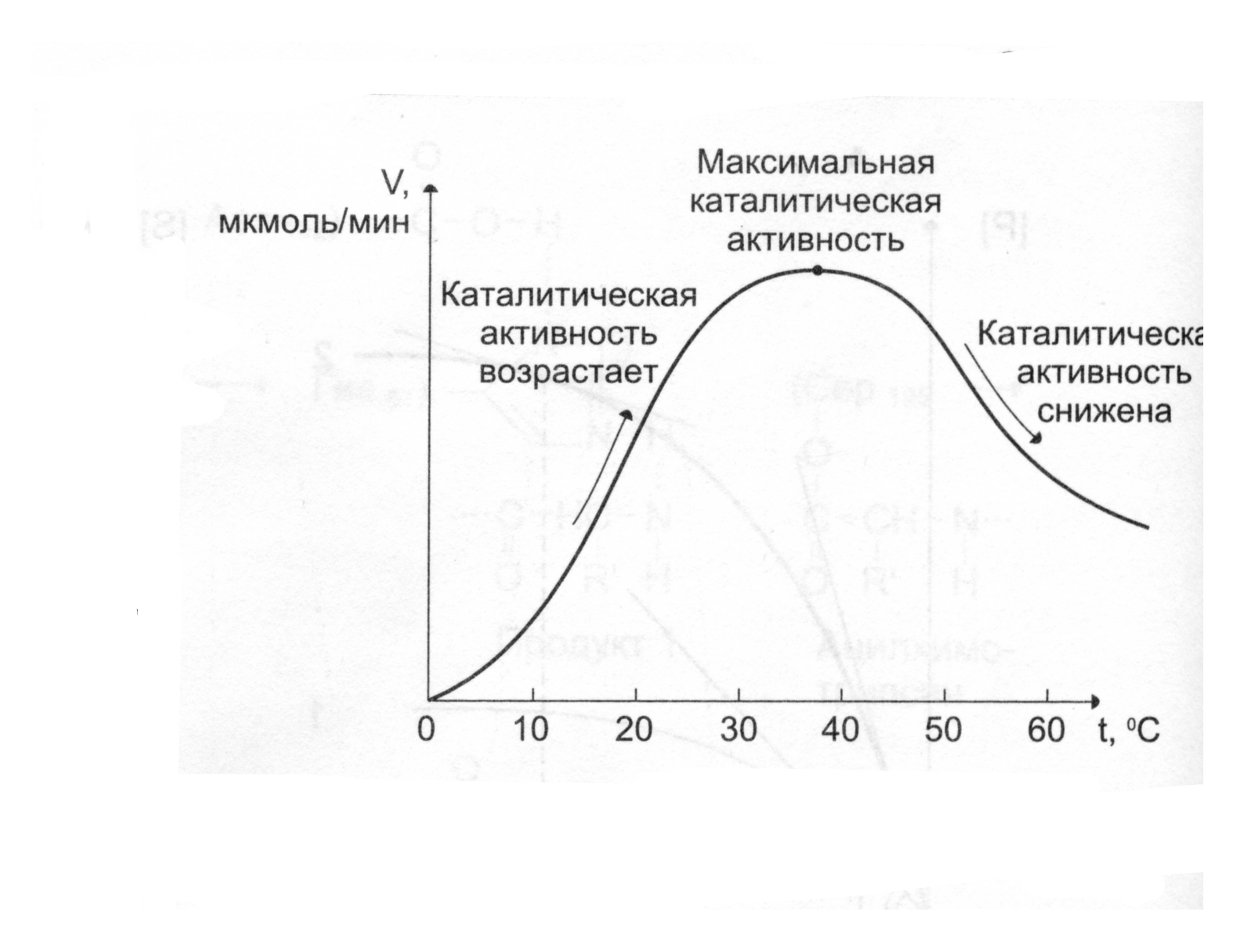 1. Температура
