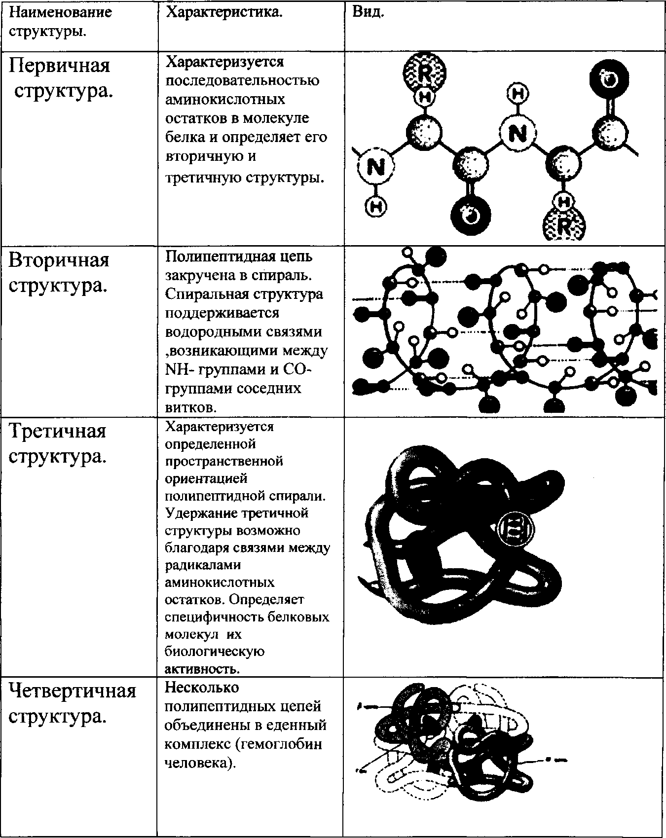 Первичная вторичная и третичная структура белков