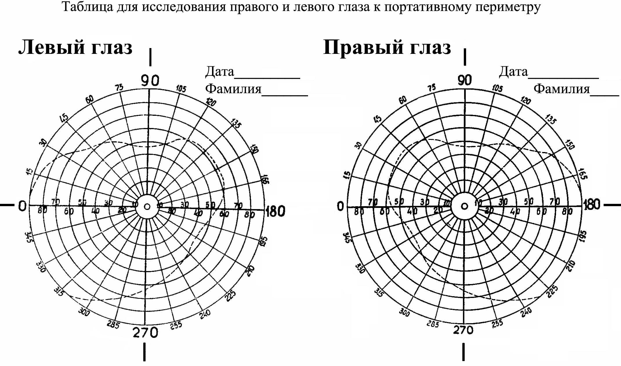 Схема полей зрения в норме рисунок фото - PwCalc.ru