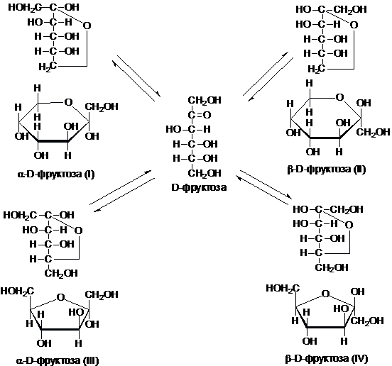 Таутомерные формулы моносахаридов. Кольчато-цепная таутомерия фруктозы. D фруктоза формула Фишера. Цикло-оксо-таутомерия фруктозы. Превращение фруктозы