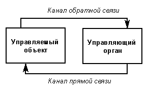 Прямые связи в системе управления. Канал прямой связи и обратной. Прямая и Обратная связь. Каналы обратной связи. Объектные обратные связи.