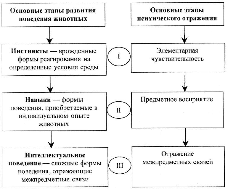 Этап психологии поведение. Законы диалектики схема. Основные стадии развития психики. Стадии развития психики животных психология. Три закона диалектики таблица.