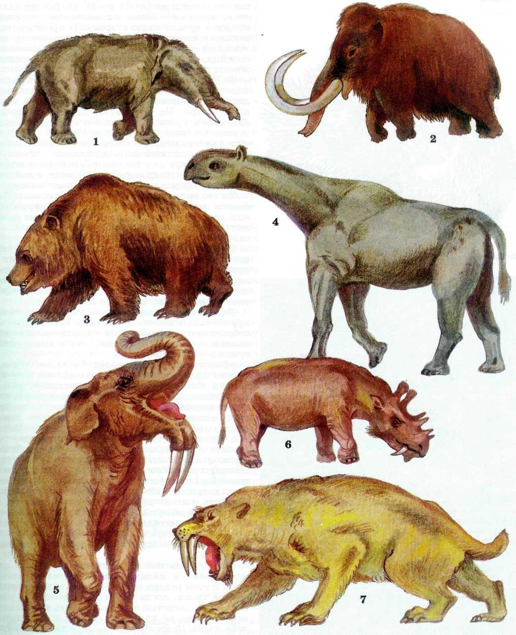 Вымершие животные картинки. Мегафауна Уинтатерий. Динотерий и мастодонт. Древних млекопитающих. Доисторические животные.