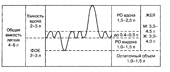 Общая емкость легких. Основные показатели спирограммы.