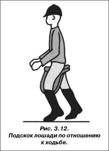 Посадка движения. Поза открытого всадника. Схема прыжка всадника на лошади. Таз всадника положение. Как двигать тазом.