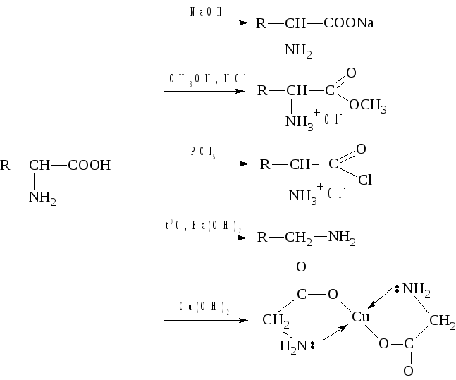 Фф скз реакции. Образование хлорангидрида аминокислот. Амфотерность аминокислот. Производные аминоспиртов. Этаноламин формула.