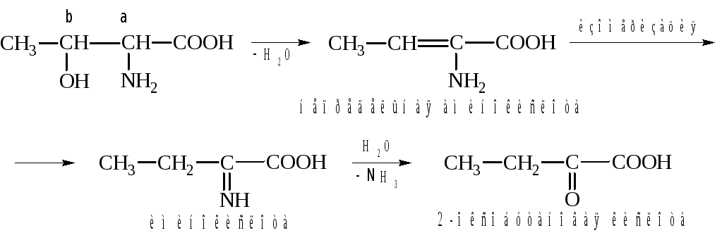 Реакции на гидроксильную группу. Реакции элиминирования гидрокси и аминокислот. Аминокислоты реакции по гидроксильной группе. Реакция элиминирования Серина. Элиминирование цистеина.