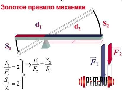 БИОМЕХАНИЧЕСКИЕ СИСТЕМЫ, ОБЕСПЕЧИВАЮЩИЕ ДВИЖЕНИЯ ЧЕЛОВЕКА