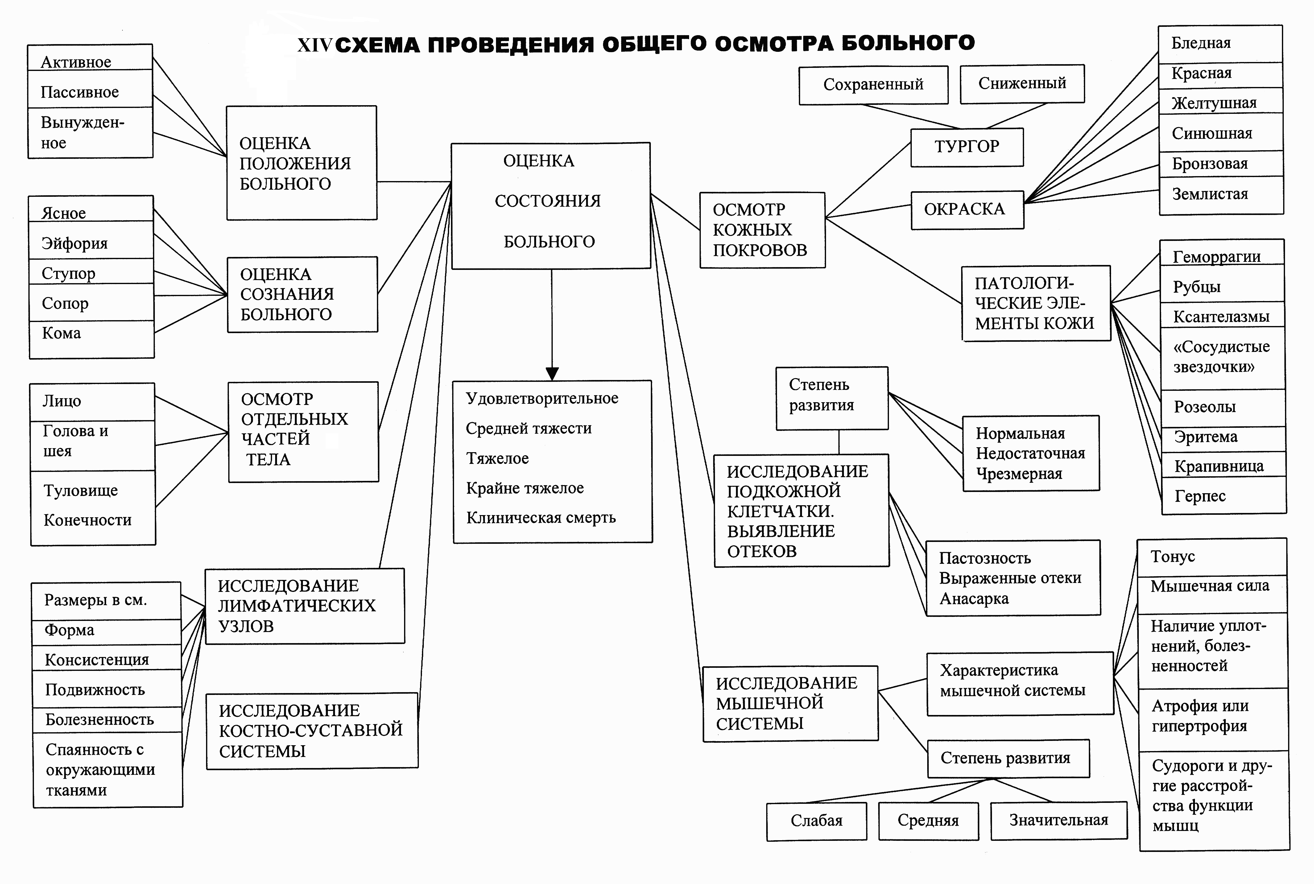 Общий осмотр больного