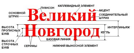 Структура букв. Элементы букв в шрифтах. Структура шрифта базовые элементы. Анатомия шрифта и элементы. Анатомия шрифта элементы буквы.