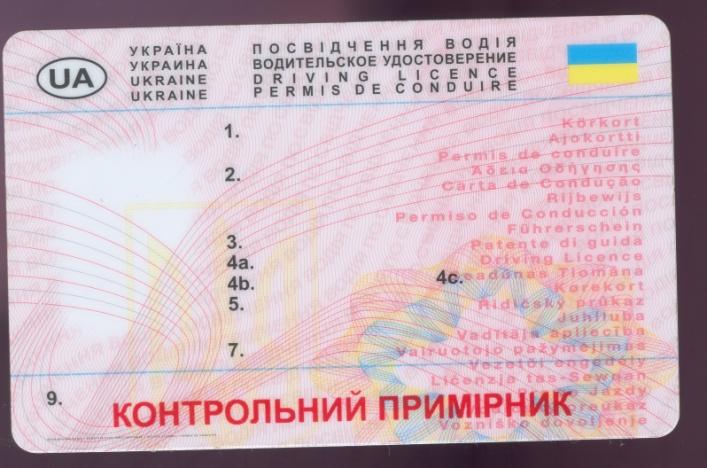 Украинские водительское. Бланк водительского удостоверения Украина. Бланки украинских водительских прав. Бланки водительского удостоверения Украины. Шаблон украинского водительского удостоверения.