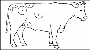 Frame1