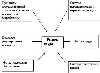 Структура рынка труда