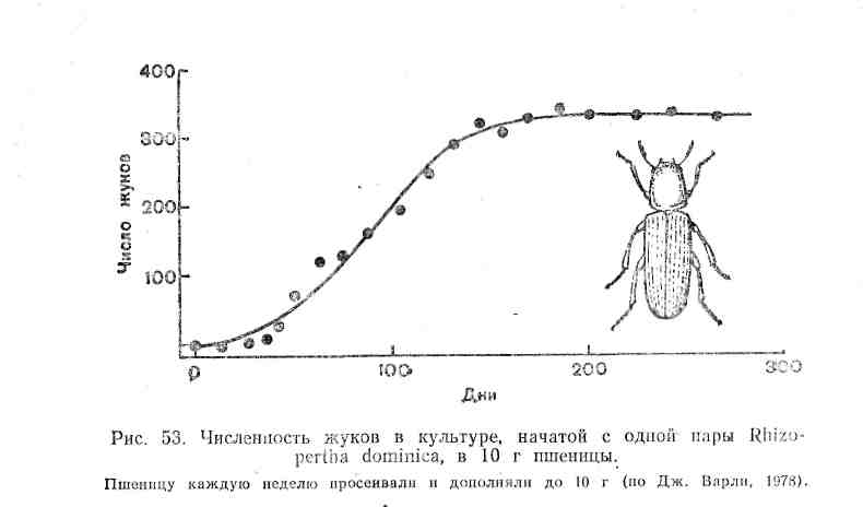 Численность особей равна. Динамика численности популяции. Графики изменения численности популяций. Динамика численности насекомых.