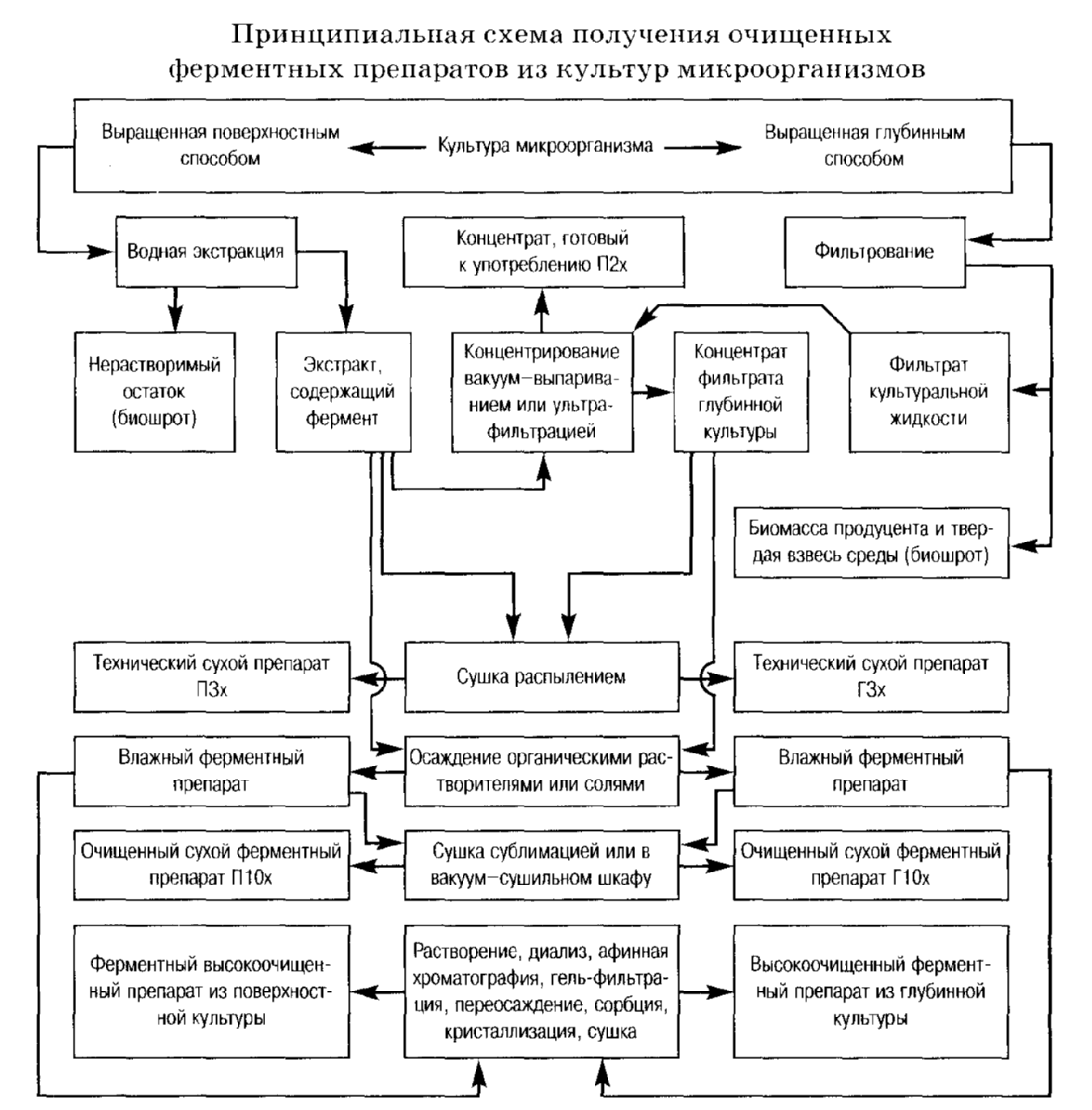 Технология ферментных препаратов и их использование в пищевой промышленности - п