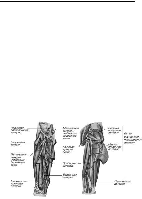 a térdízület peritoneális fibularis ligamentuma károsodása)