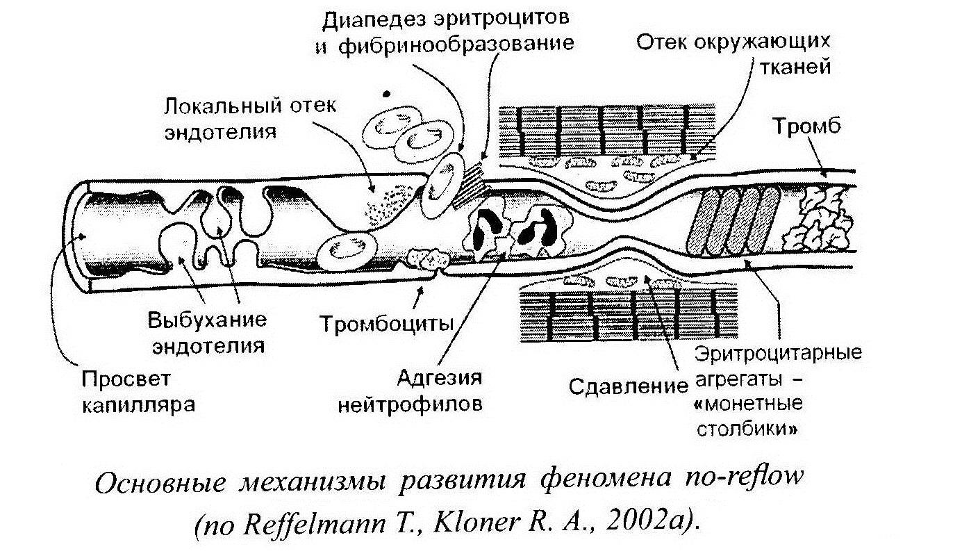 Механизм явление