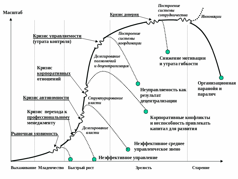 Этапы роста организации. Стадии жизненного цикла Адизеса. Адизес стадии жизненного цикла. Модель жизненного цикла Ицхака Адизеса. Жизненный цикл Адизеса схема.