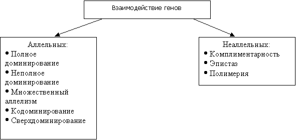 Типы взаимодействия неаллельных генов
