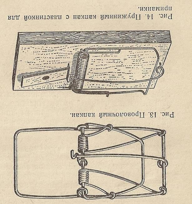 Крысоловка своими руками чертежи