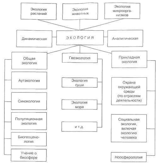 Структура и методы современной экологии