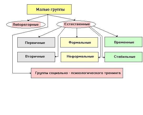 Тест малые группы 6 класс