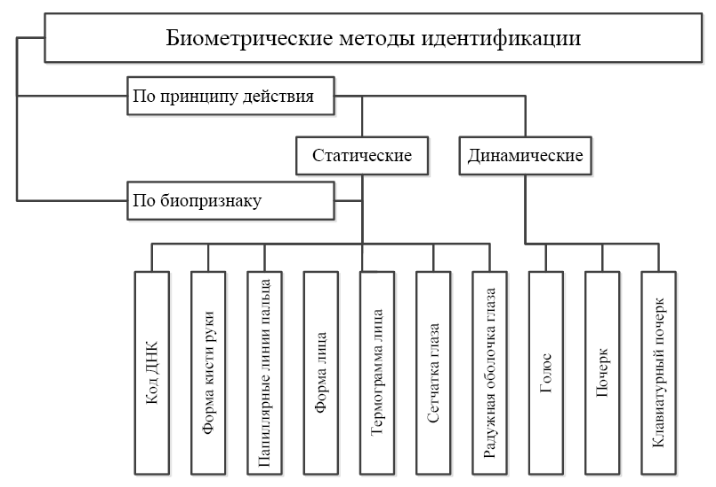 Виды идентификации схема