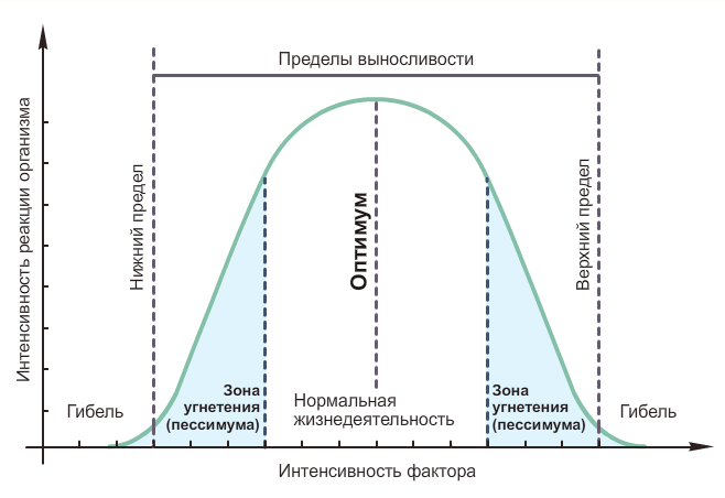 Какой фактор может быть проиллюстрирован данными изображениями