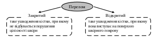 Полотно 42