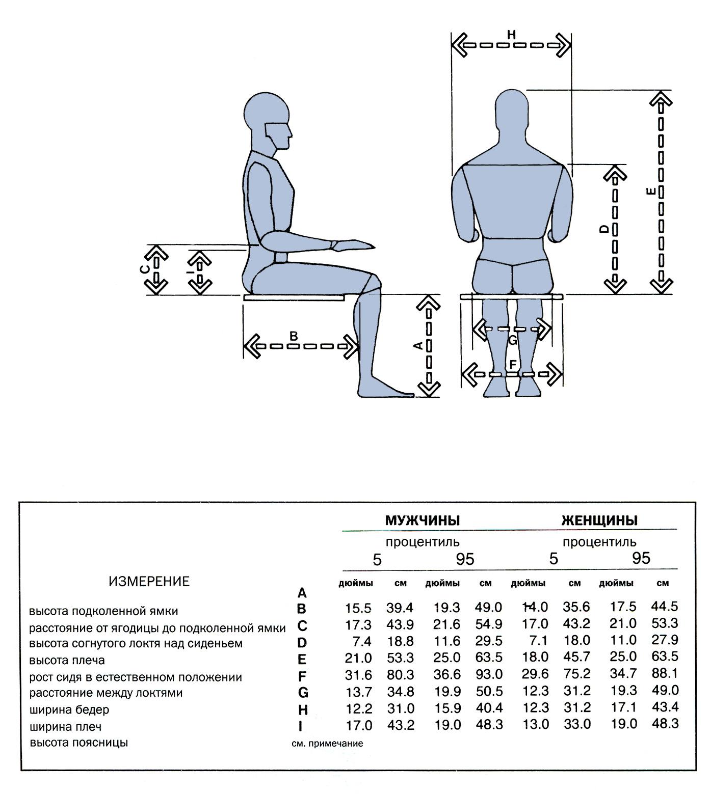 Подобрать сиденье по размерам. Детский стул эргономика Размеры. Антропометрия рост сидя. Габариты человека эргономика. Эргономика сидящего человека Размеры.