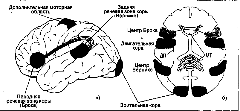 Мозговое радио кажинского схема