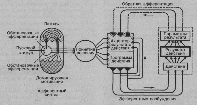 Схема фус поведенческого акта